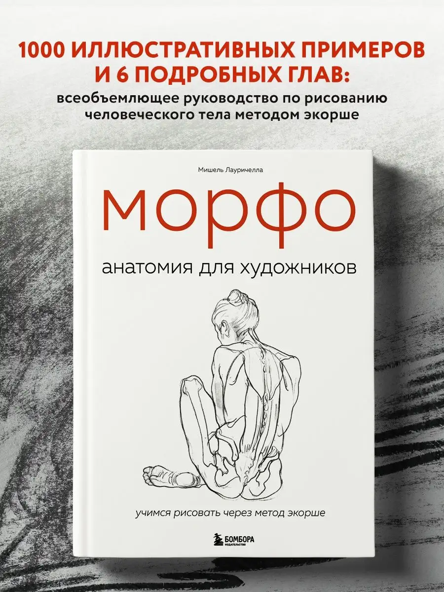 МОРФО. Анатомия для художников Эксмо 16648375 купить за 960 ₽ в  интернет-магазине Wildberries