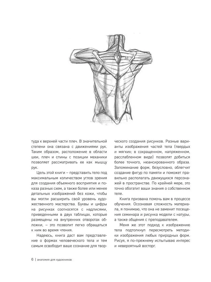 Словарь полиграфических терминов - Типография АКЦЕНТ - офсетная типография в СПб