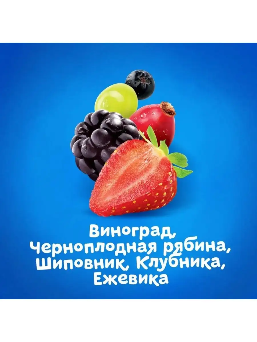 Вода и Сок Садовые Ягоды 6 штук по 300мл Агуша 16658238 купить за 399 ₽ в  интернет-магазине Wildberries