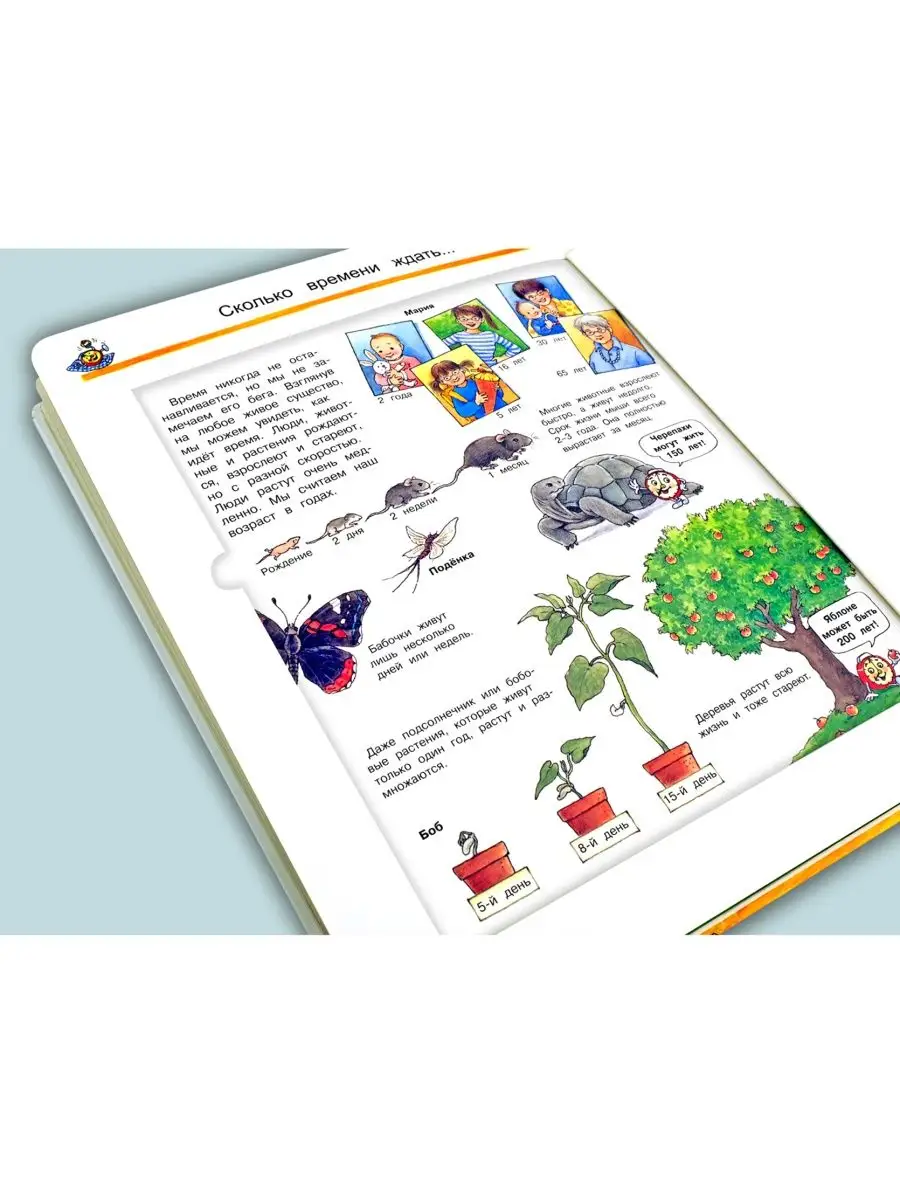 Детская энциклопедия с окошками. Что такое время Омега-Пресс 16702263  купить за 918 ₽ в интернет-магазине Wildberries
