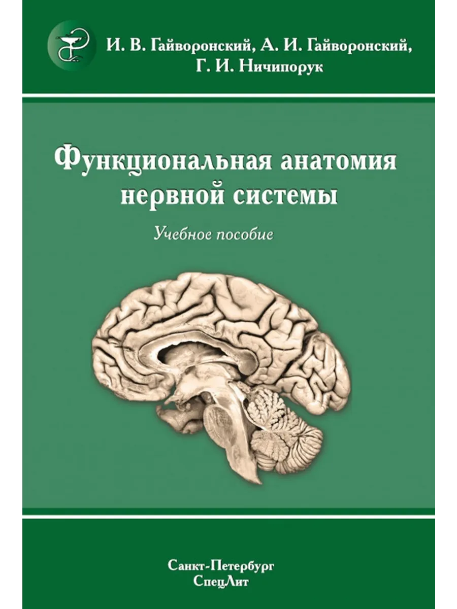 Функциональная анатомия нервной системы