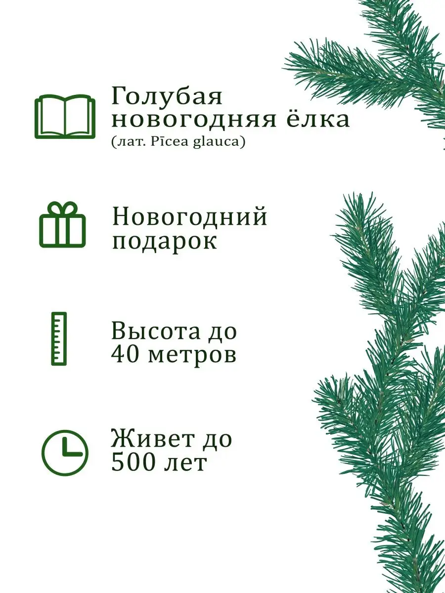 Набор для выращивания растений и цветов в горшке для дома Вырасти, Дерево!  16717376 купить за 331 ₽ в интернет-магазине Wildberries