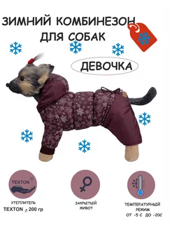 Зимний комбинезон для собак (девочка) DOGMODA 16740736 купить за 1 968 ₽ в интернет-магазине Wildberries