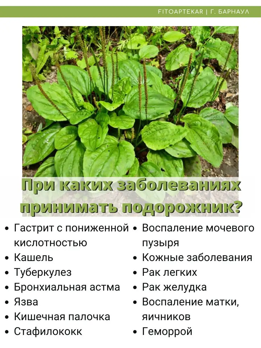 Сок подорожника, 250 мл ФИТО-АПТЕКАРЬ 16740885 купить за 759 ₽ в  интернет-магазине Wildberries