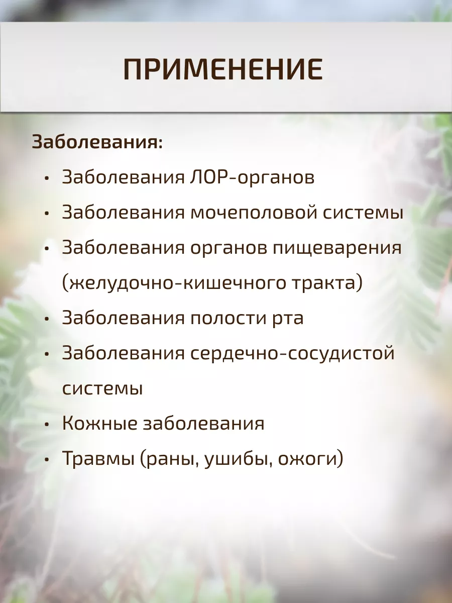 Карагана гривастая побеги Молотая 50 г Верблюжий хвост Шалфей 16740935  купить за 239 ₽ в интернет-магазине Wildberries