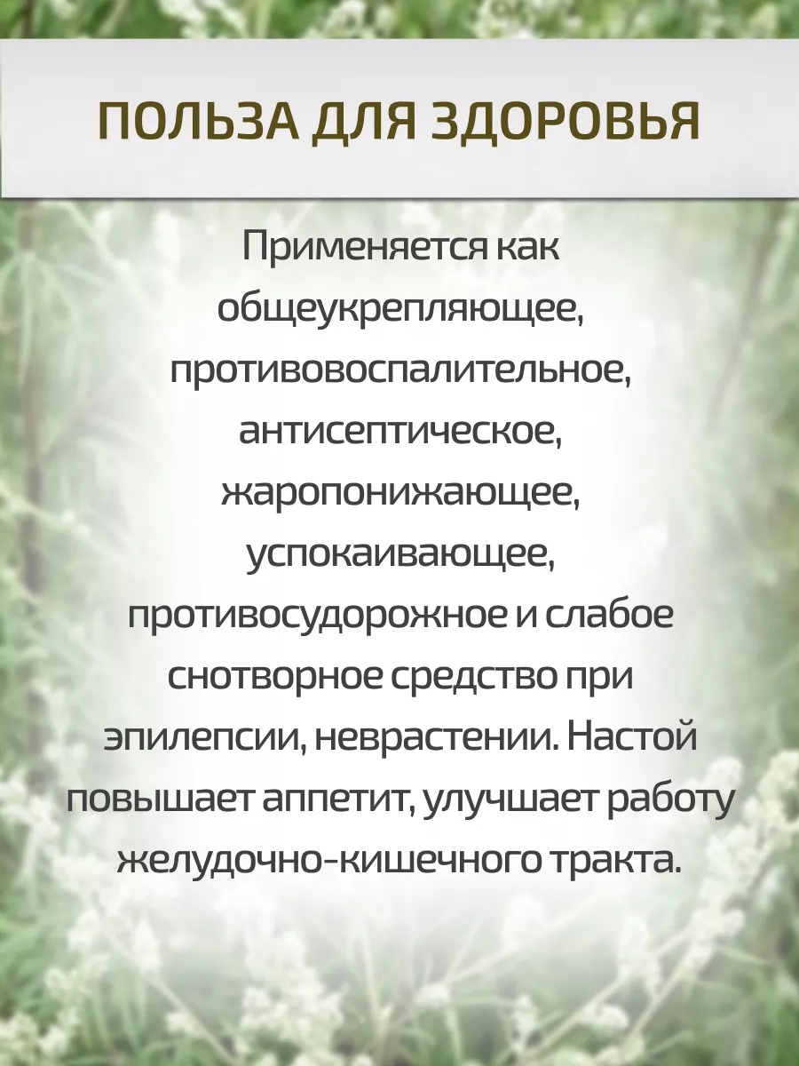 Полынь обыкновенная (Чернобыльник)