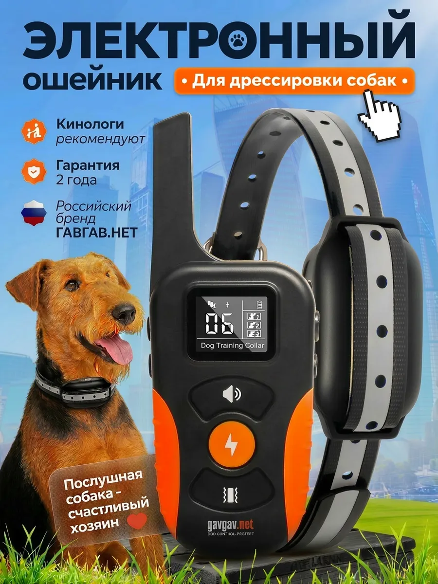 Электронный ошейник для дрессировки собак