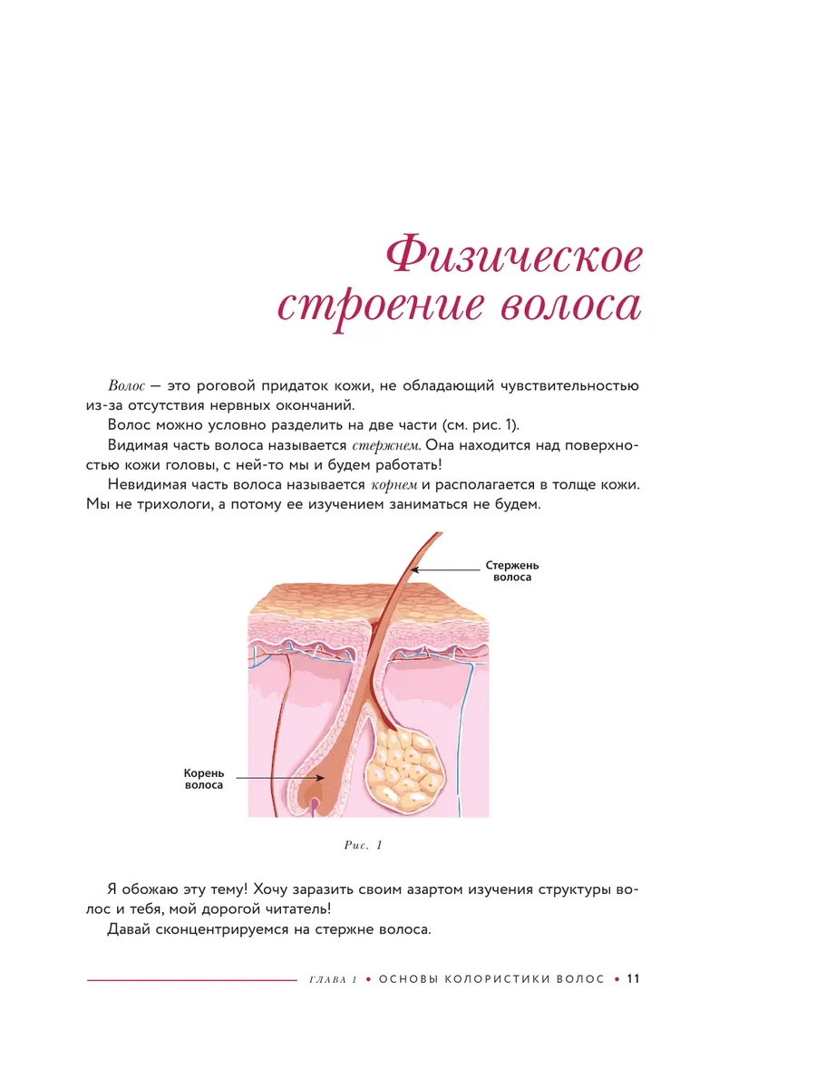 Библия парикмахера колориста Эксмо 16794287 купить за 1 073 ₽ в  интернет-магазине Wildberries