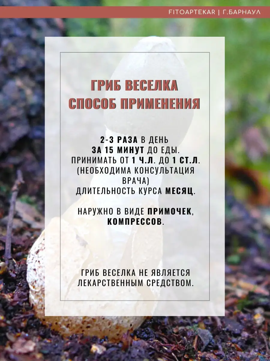 Веселка гриб, настойка 100 мл ФИТО-АПТЕКАРЬ 16813956 купить за 614 ? в  интернет-магазине Wildberries