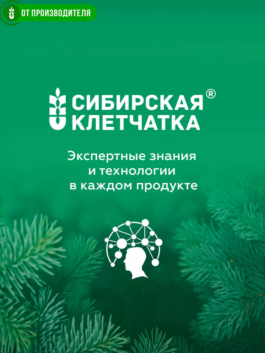 Овсяноблин с протеином, ПП завтрак, 7 порций по 30 гр Сибирская клетчатка  16827286 купить за 326 ₽ в интернет-магазине Wildberries