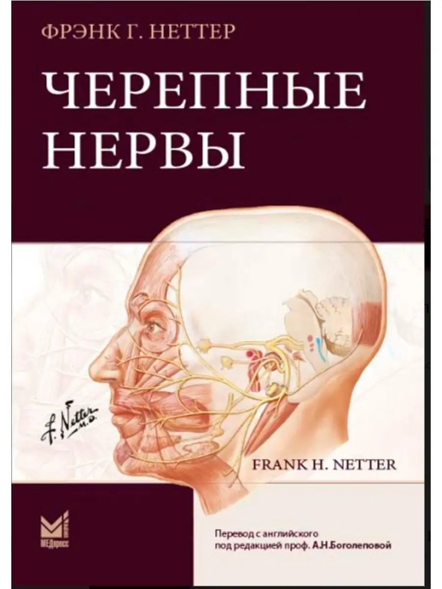 Черепные нервы МЕДпресс-информ 16828397 купить за 1 568 ₽ в  интернет-магазине Wildberries