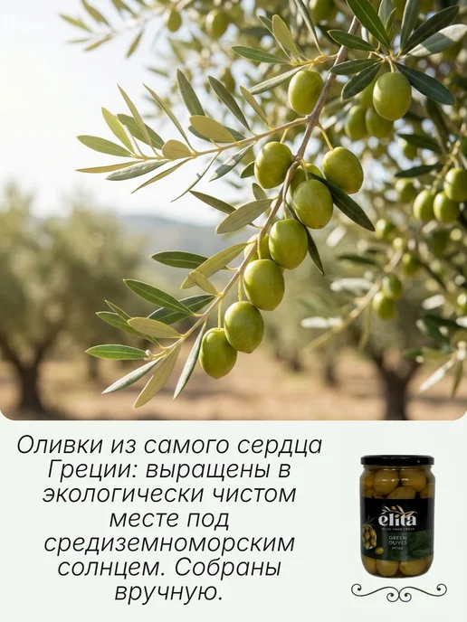 Elita Оливки крупные без косточки 91-100 700гр Греция, 700 г, фото 4