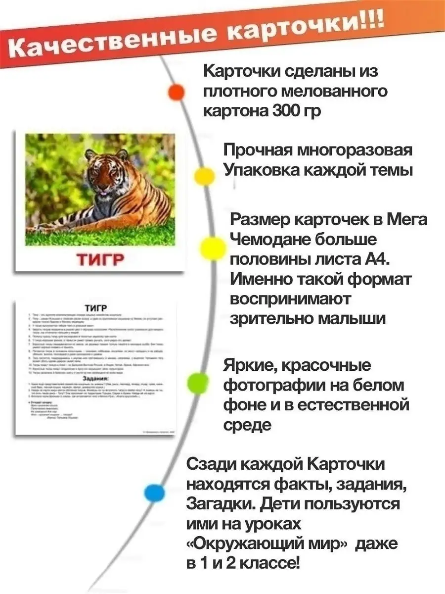 Мега чемодан полный комплект карточек Вундеркинд с пеленок 16862932 купить  за 3 525 ₽ в интернет-магазине Wildberries