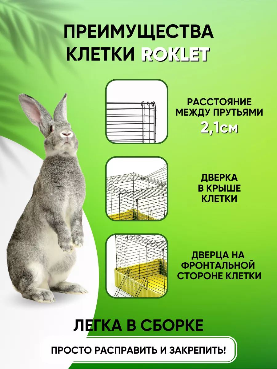 Товары для животных купить с доставкой | Интернет-зоомагазин zelgrumer.ru
