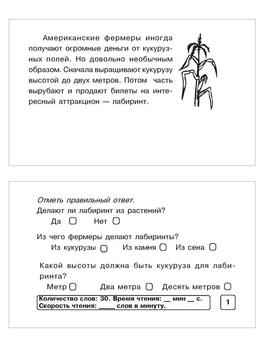 Блицконтроль скорости чтения. 1 класс 5 за знания 16892204 купить в  интернет-магазине Wildberries