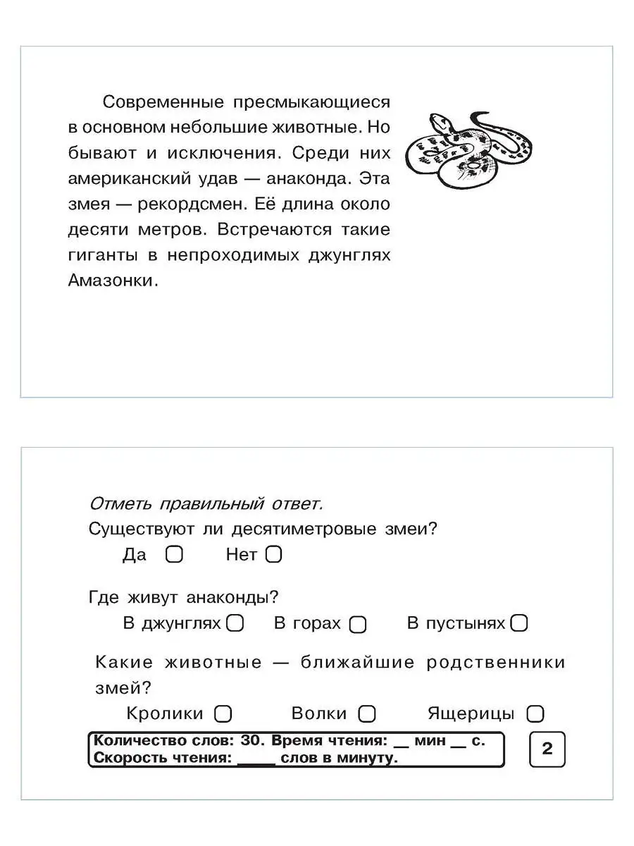 Блицконтроль скорости чтения. 1 класс 5 за знания 16892204 купить в  интернет-магазине Wildberries