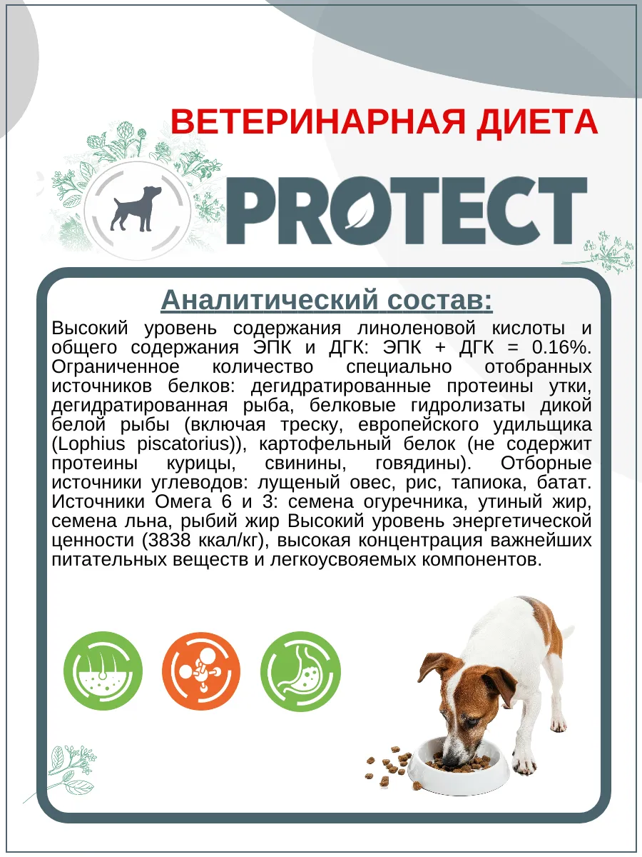 Гипоаллергенный корм для собак сухой Protect Dermato 2кг Flatazor 16904096  купить за 2 162 ₽ в интернет-магазине Wildberries