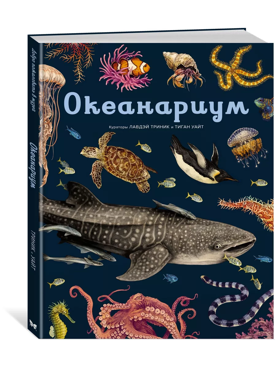 Океанариум Издательство Махаон 16949390 купить за 1 113 ₽ в  интернет-магазине Wildberries