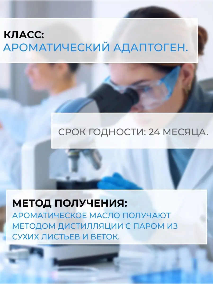 Эфирное масло лавр благородный 5 мл для дома натуральное Царство Ароматов  17024033 купить в интернет-магазине Wildberries