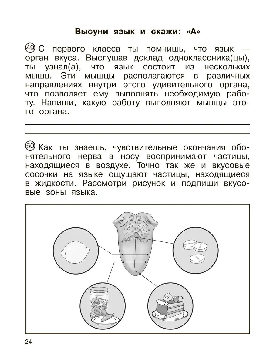 Окружающий мир. 4 класс. Тетрадь для самостоятельной № 2 Издательство  Академкнига/Учебник 17028443 купить в интернет-магазине Wildberries