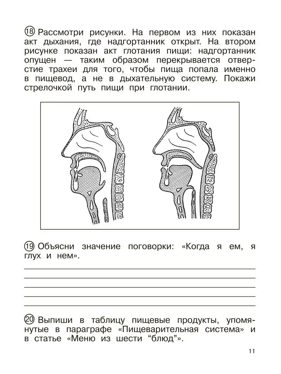 Окружающий мир. 4 класс. Тетрадь для самостоятельной № 2 Издательство  Академкнига/Учебник 17028443 купить в интернет-магазине Wildberries