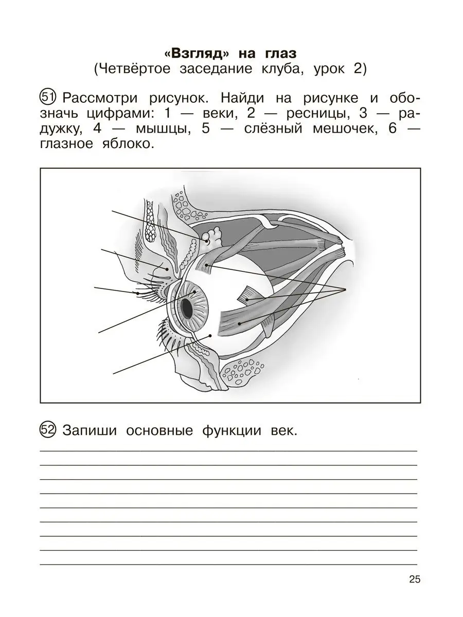 Окружающий мир. 4 класс. Тетрадь для самостоятельной № 2 Издательство  Академкнига/Учебник 17028443 купить в интернет-магазине Wildberries