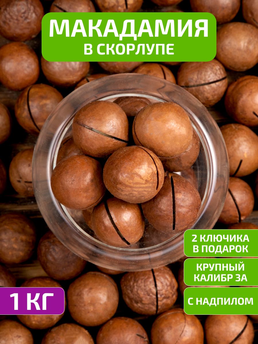 Макадамия орех в скорлупе 1 кг, калибр 3А OREXLAND 17061899 купить в  интернет-магазине Wildberries