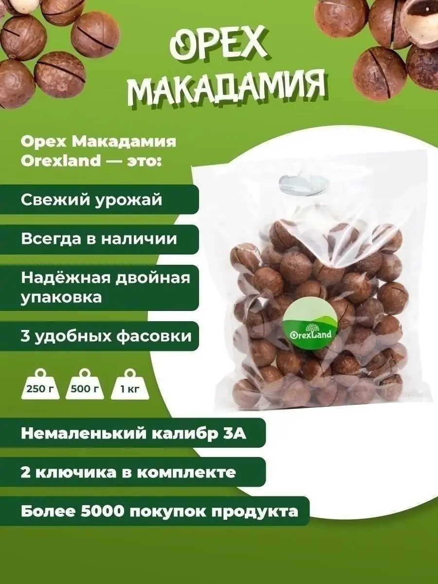 Макадамия орех в скорлупе 1 кг, калибр 3А OREXLAND 17061899 купить в  интернет-магазине Wildberries