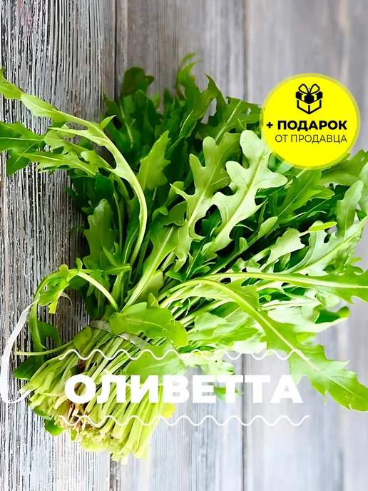 Аэлита Агрофирма Семена Двурядник тонколистный "Оливетта", зеленый, фото 2