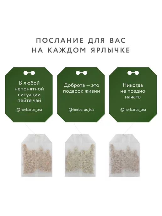 Herbarus Чайный напиток Имбирная Энергия, 24 пакетика, вариант, фото 4