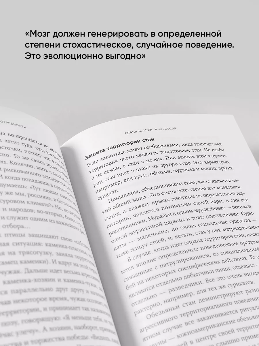 Мозг и его потребности Альпина. Книги 17152953 купить за 910 ₽ в  интернет-магазине Wildberries