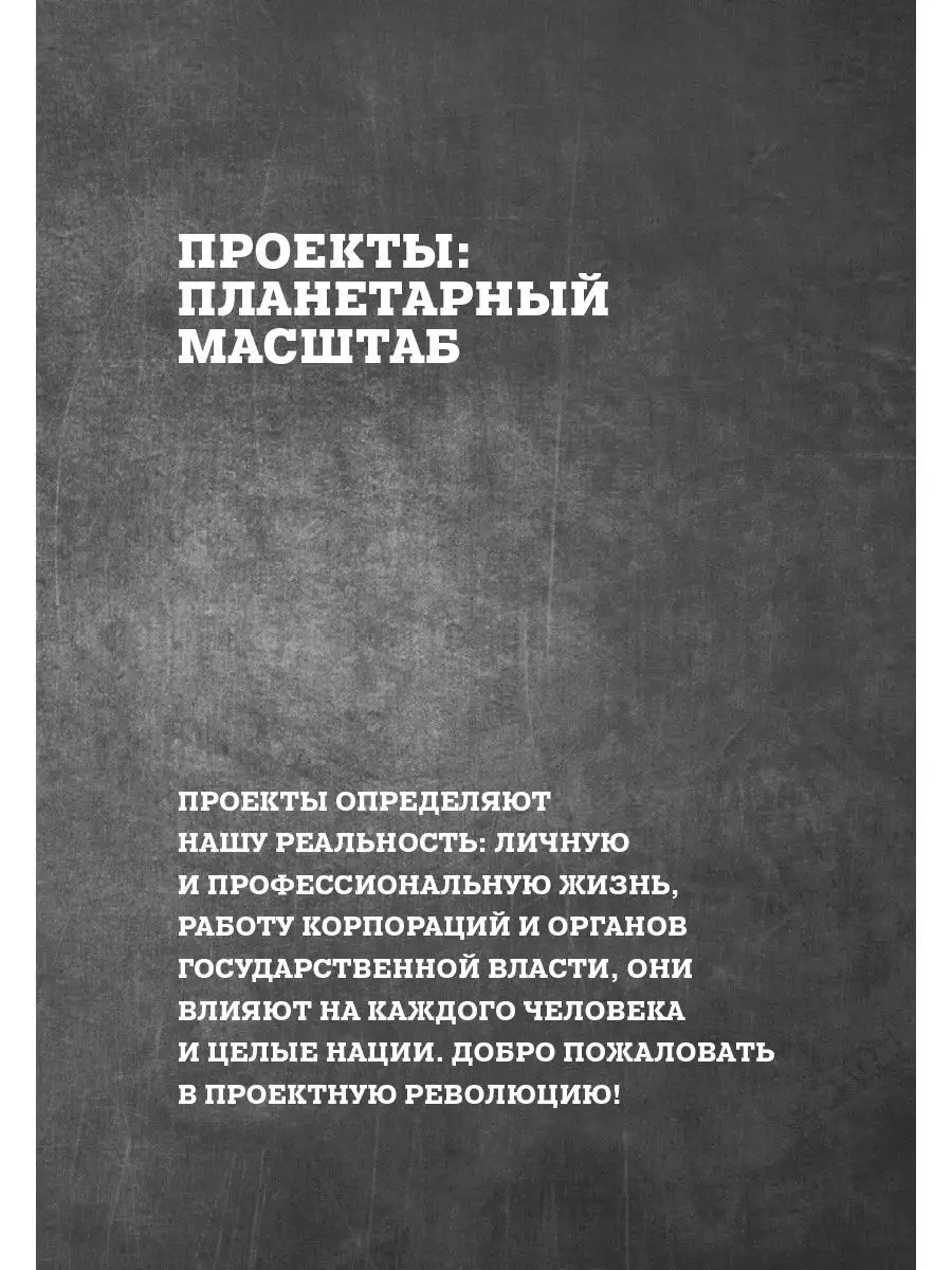 Цель как проект: Как успешно решать Альпина. Книги 17198160 купить за 566 ₽  в интернет-магазине Wildberries