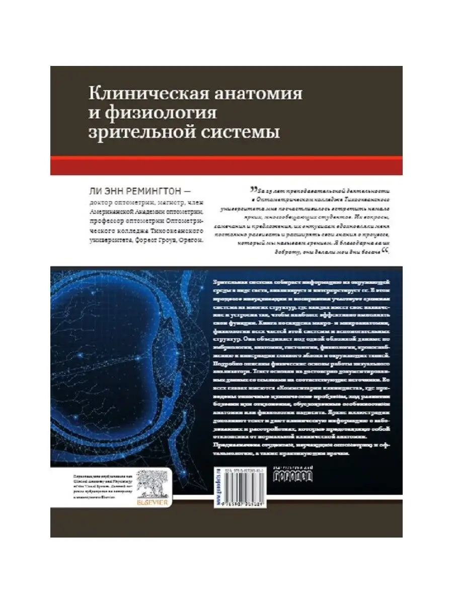 Клиническая анатомия и физиология зрительной системы ИД Городец 17199369  купить за 2 868 ₽ в интернет-магазине Wildberries