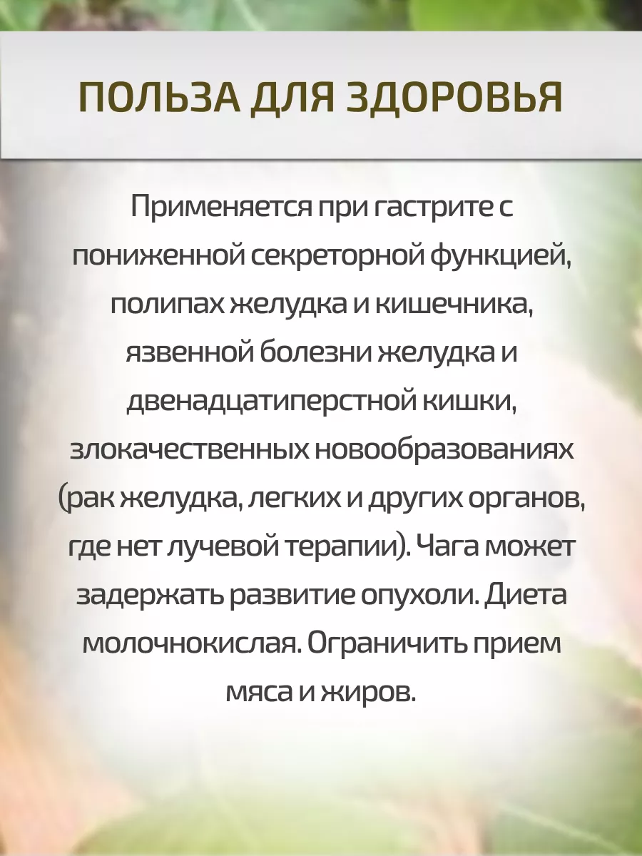 Чага 500 г березовый гриб кусками Шалфей 17203588 купить за 755 ₽ в  интернет-магазине Wildberries