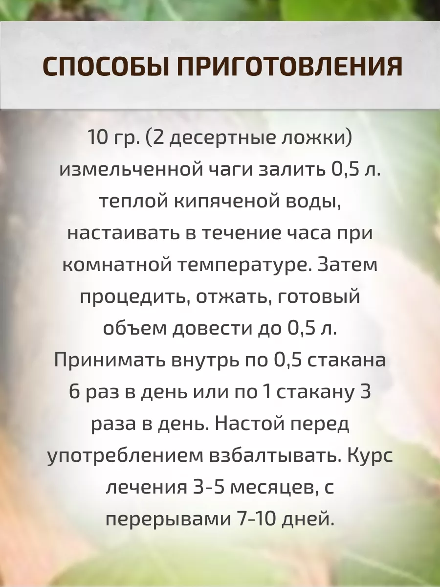 Чага 500 г березовый гриб кусками Шалфей 17203588 купить за 755 ₽ в  интернет-магазине Wildberries