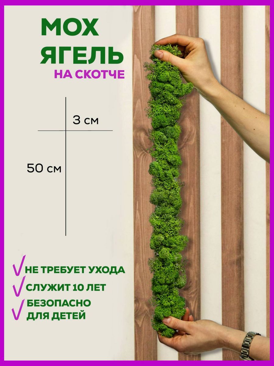 Лента для декора 3*50 см Bloom Showroom 17217221 купить за 438 ₽ в  интернет-магазине Wildberries