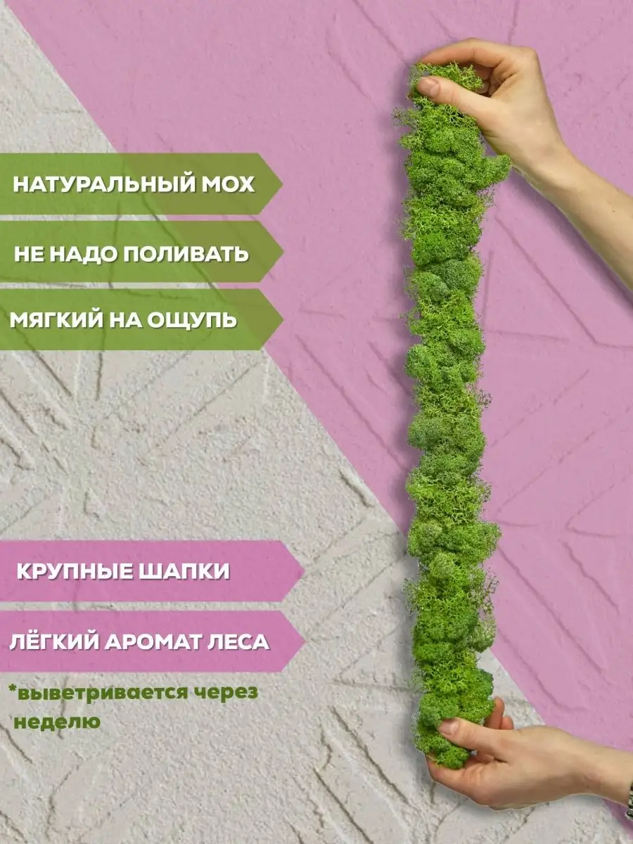 Лента для декора 3*50 см Bloom Showroom 17217221 купить за 451 ₽ в  интернет-магазине Wildberries