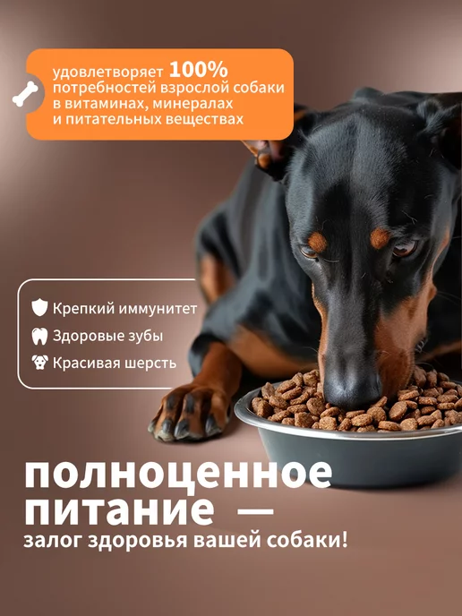 Сухой корм ДИЛЛИ Cухой Активных для собак, 14 кг, фото 5