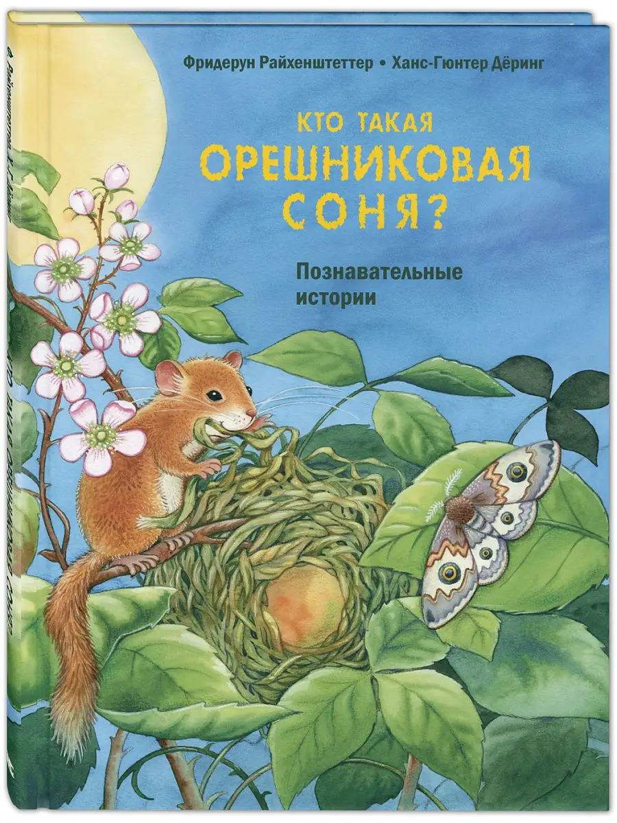 Кто такая орешниковая соня? Энас-Книга 17257241 купить в интернет-магазине  Wildberries