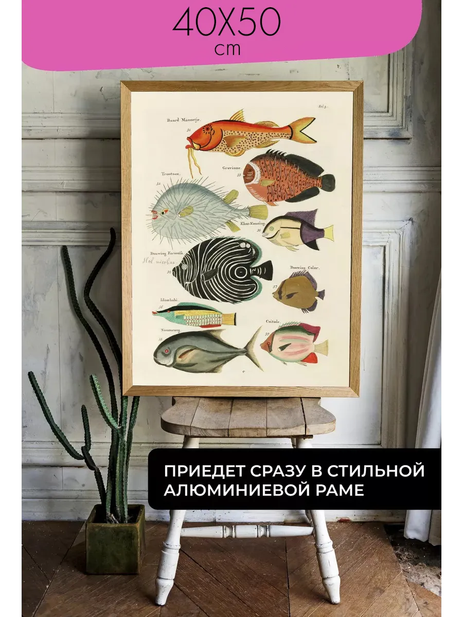 Постер / Плакат / Картина Тропические рыбы