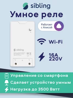 Умное реле 16А/10А Sibling Sibling 17354572 купить за 1 147 ₽ в интернет-магазине Wildberries