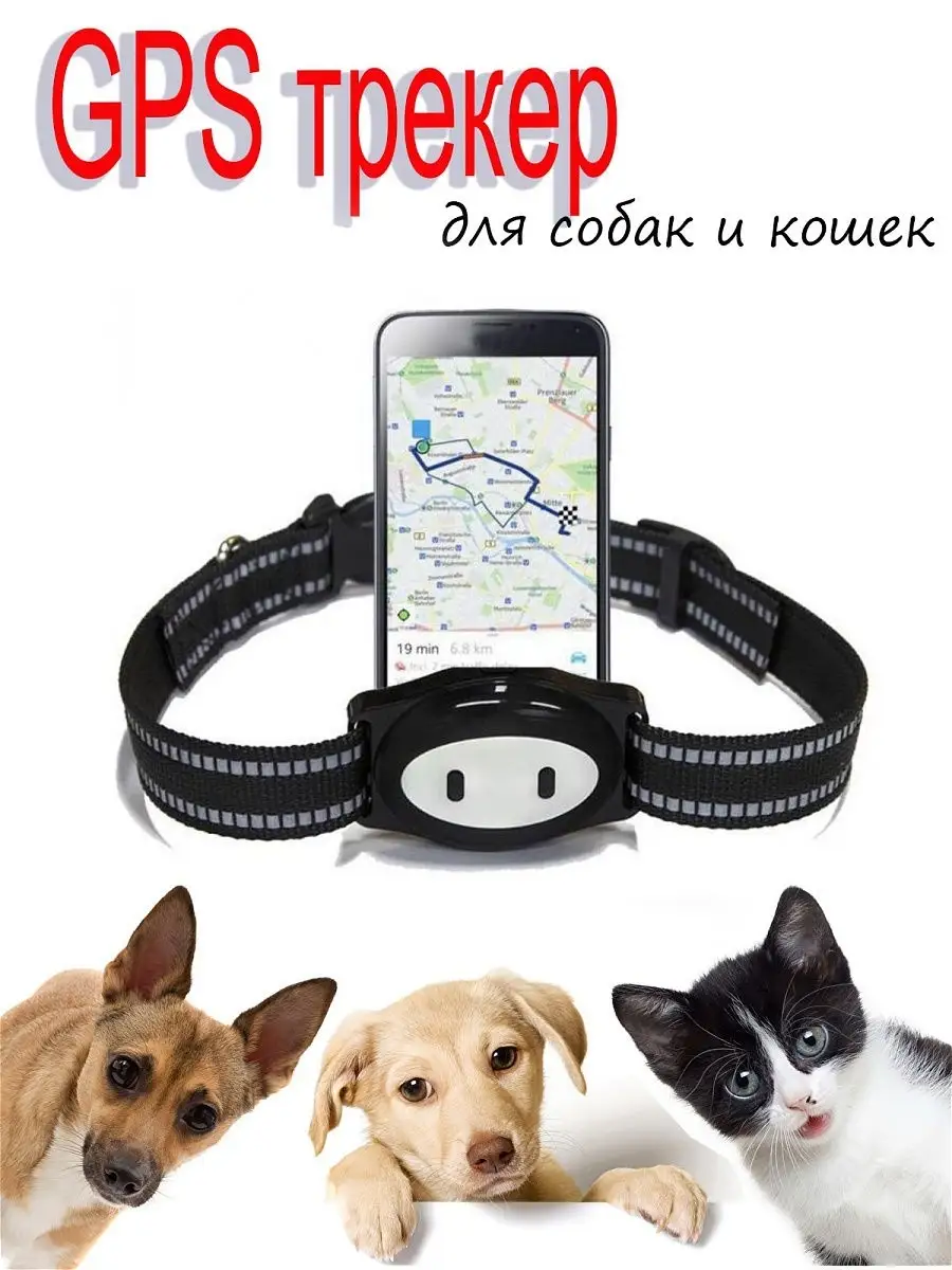 GPS трекер для собак