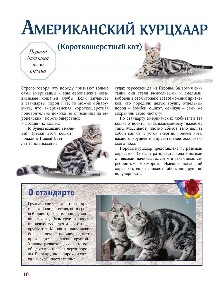 Кошки. Лучший иллюстрированный гид Издательство АСТ 17368482 купить в  интернет-магазине Wildberries