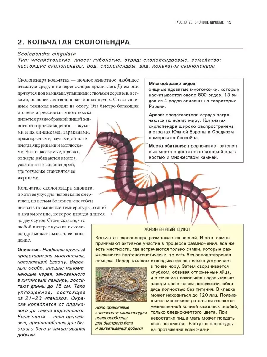 Насекомые. Иллюстрированная энциклопедия Эксмо 17428476 купить за 1 184 ₽ в  интернет-магазине Wildberries