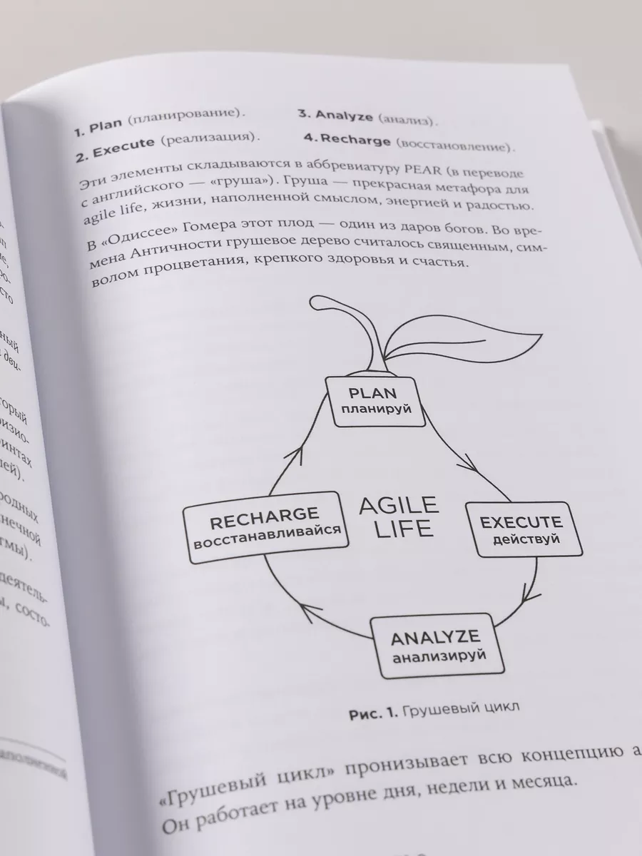 Agile life: Как вывести жизнь на новую орбиту Альпина. Книги 17451376  купить за 818 ₽ в интернет-магазине Wildberries