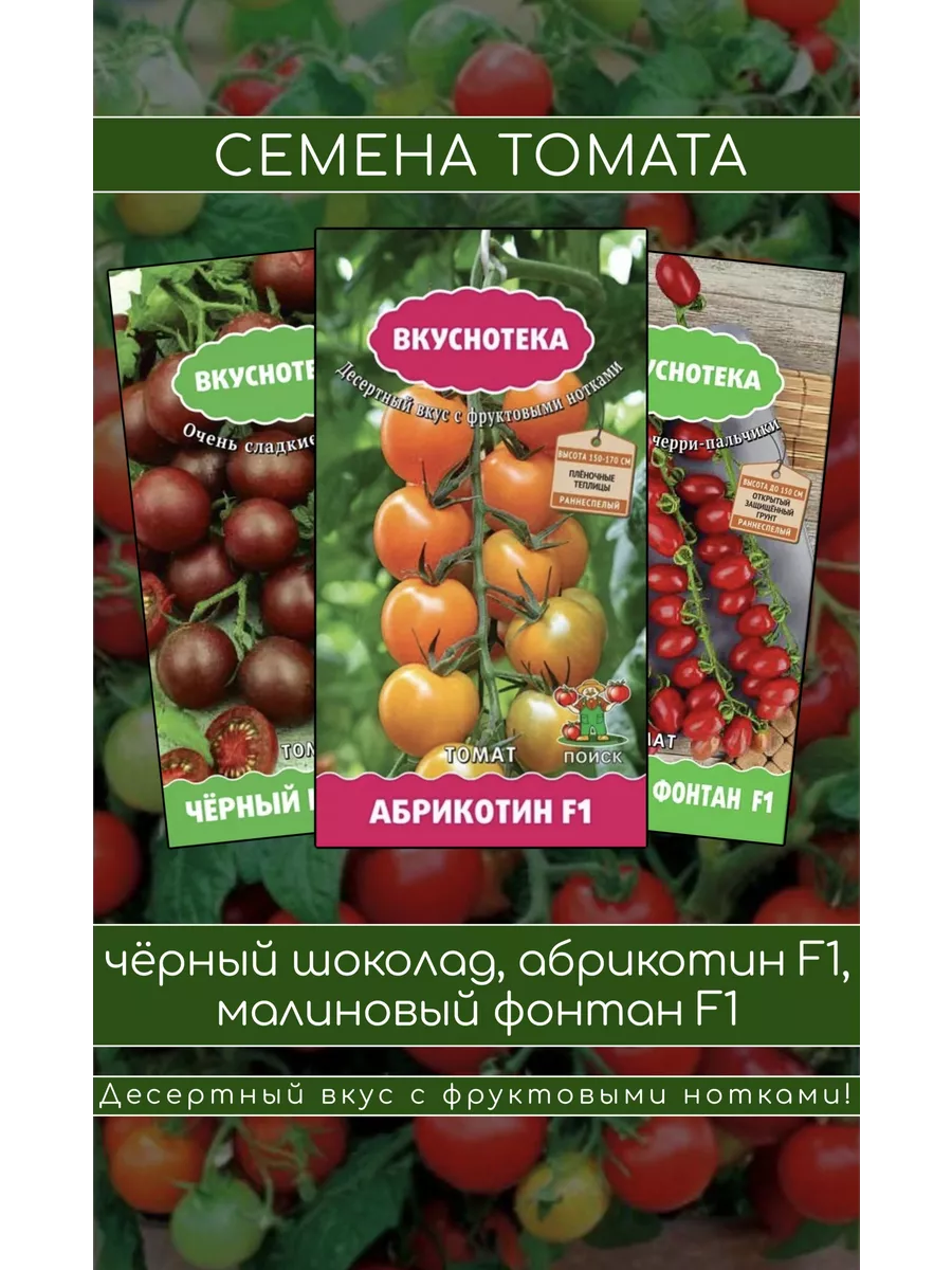 Семена Томата: Малиновый фонтан, Абрикотин, Чёрный шоколад Агрофирма Поиск  17549907 купить за 173 ₽ в интернет-магазине Wildberries