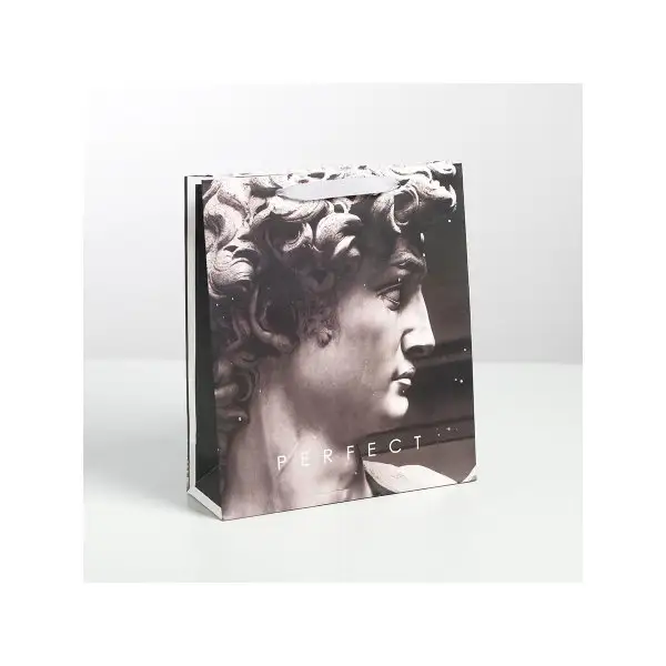 Пакет ламинированный вертикальный Perfect, M 26 х 30 х 9 см