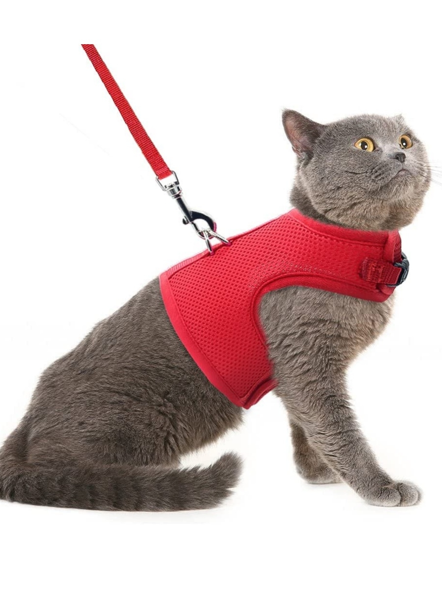шлейка жилетка для кошки и кота Surepete купить в интернет-магазине Wildberries