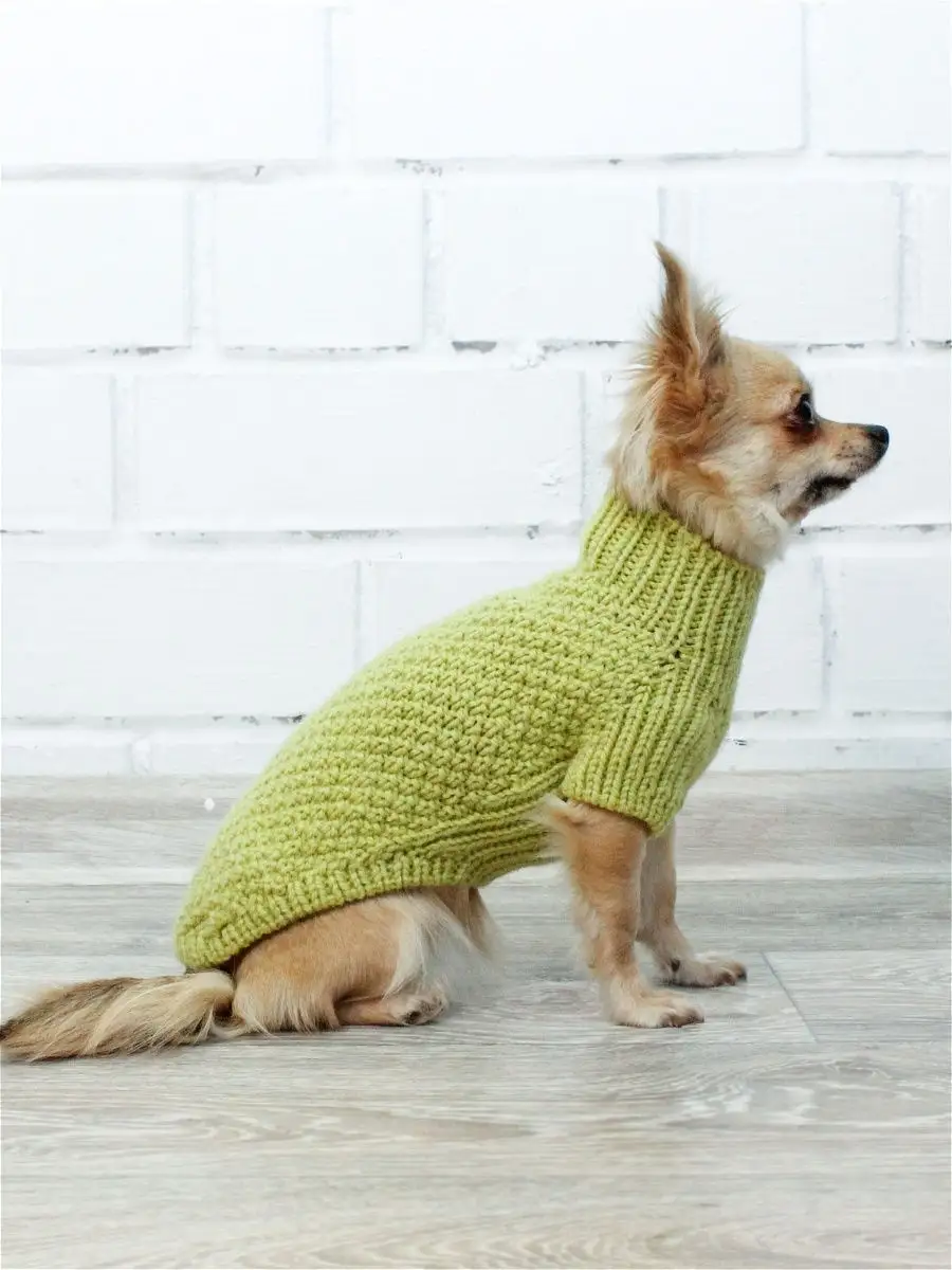 Как связать свитер для собаки