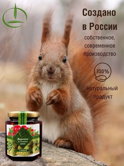Емельяновская Биофабрика Варенье, 250 гр, с Клюквой из Шишек, 240 г, фото 3